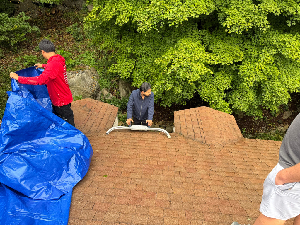 team fixing the fallen tree