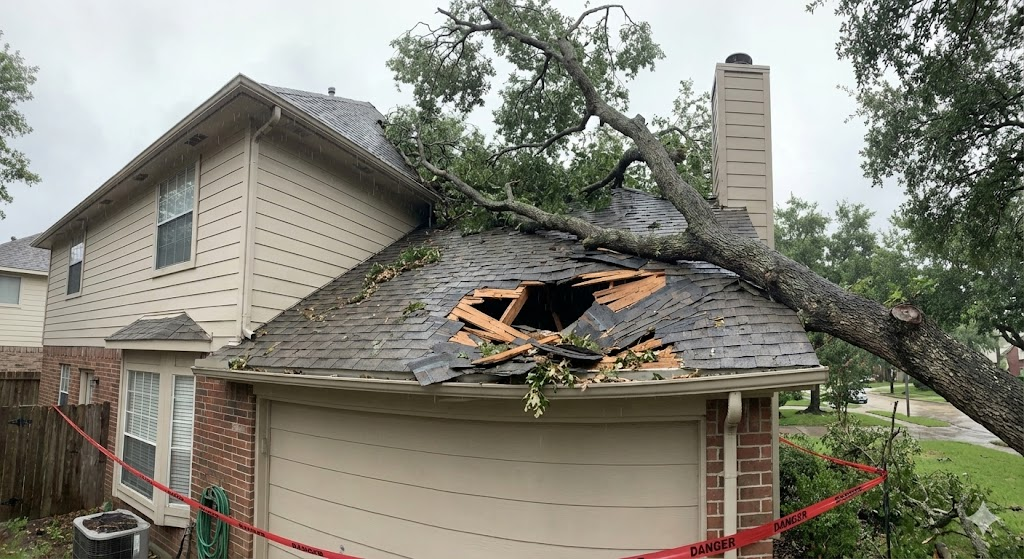 damaged roof because of fallen tree